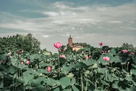 Must-see Attractions
