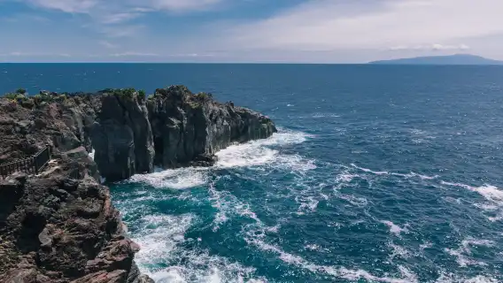日本+伊豆+大室山一日遊【城崎海岸觀海列車含電車票9人小團】