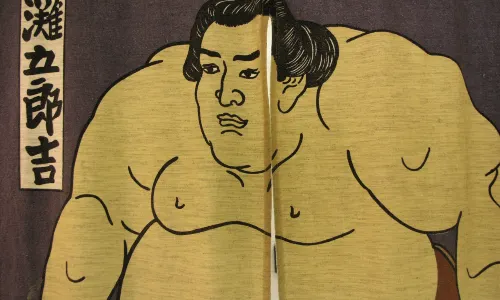 Tokyo Sumo Wrestling Watching