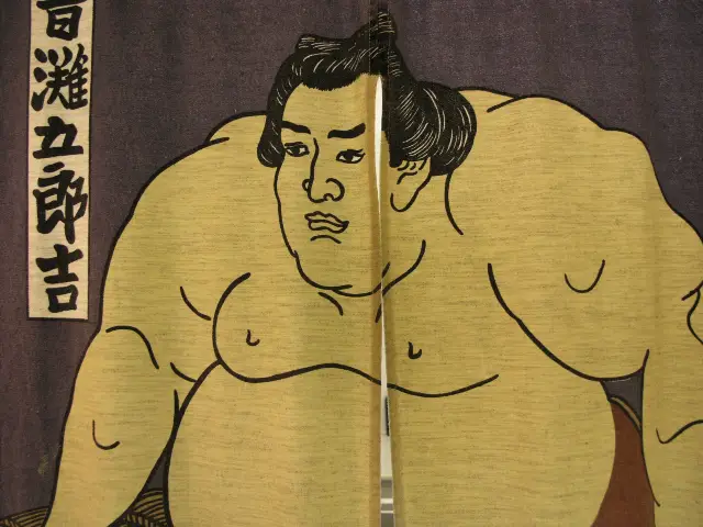 Tokyo Sumo Wrestling Watching