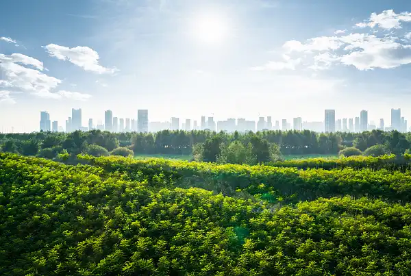 횡성중앙근린공원 주변 호텔