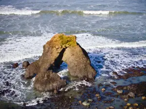 Wilderness State Park