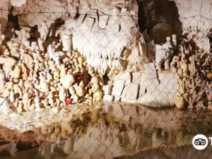 Petrified Caves