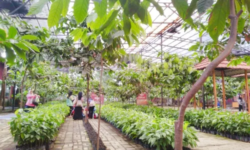 Kampung Coklat