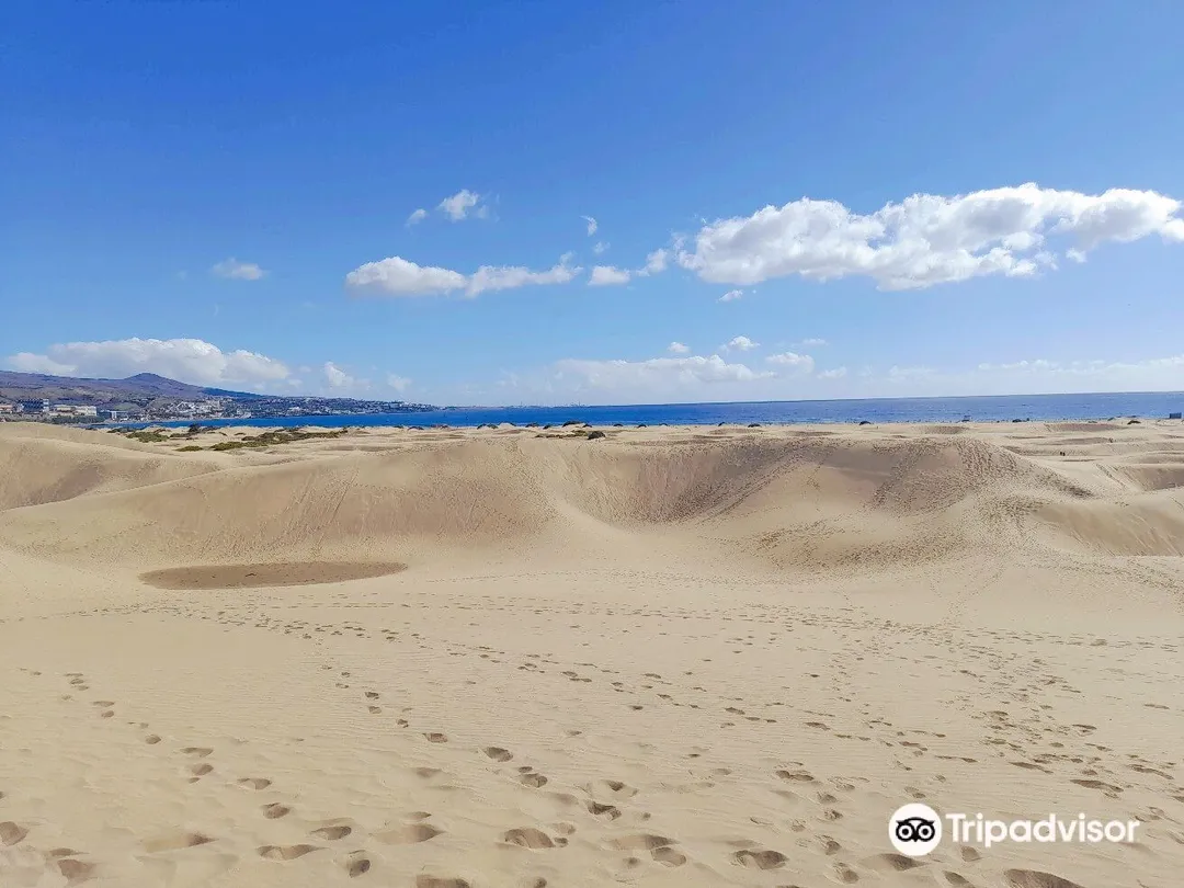 2_Playa de Maspalomas