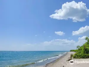 Darlington Provincial Park