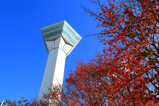 Hakodate Maple Viewing