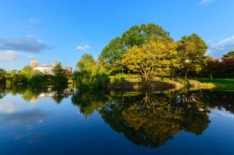 Nakajima Park