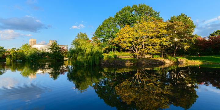 Nakajima Park