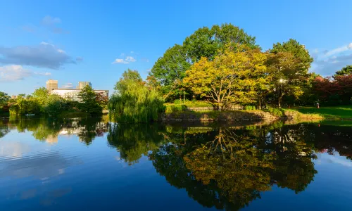 Nakajima Park