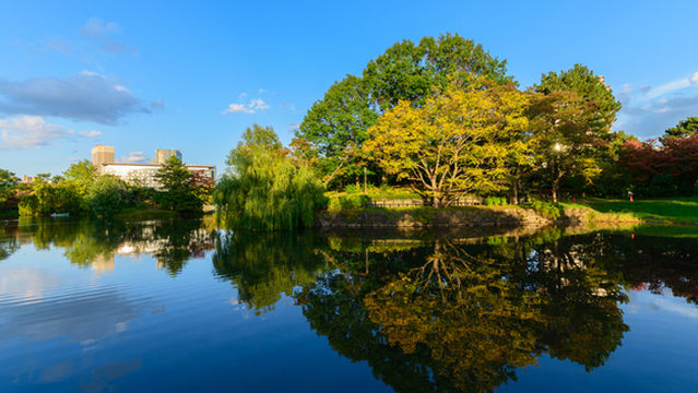 Nakajima Park