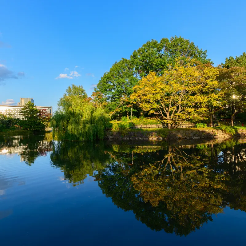 中島公園