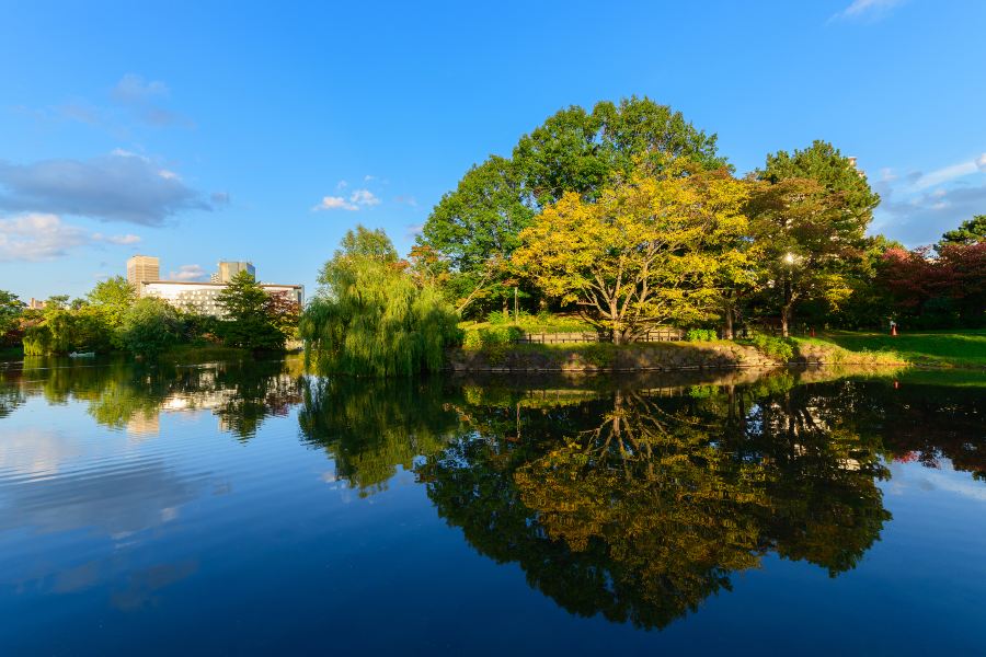 中島公園