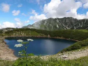 Popular Spring Outings in Toyama Prefecture