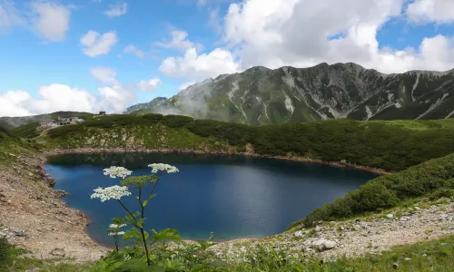 Tateyama Kurobe Alpine Route