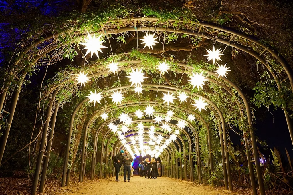 德斯坎索花園燈光節 | 拉肯亞達─弗林楚奇