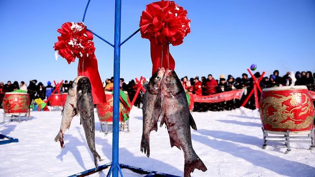 The 11th Shenyang Wolong Lake Winter Fishing Season