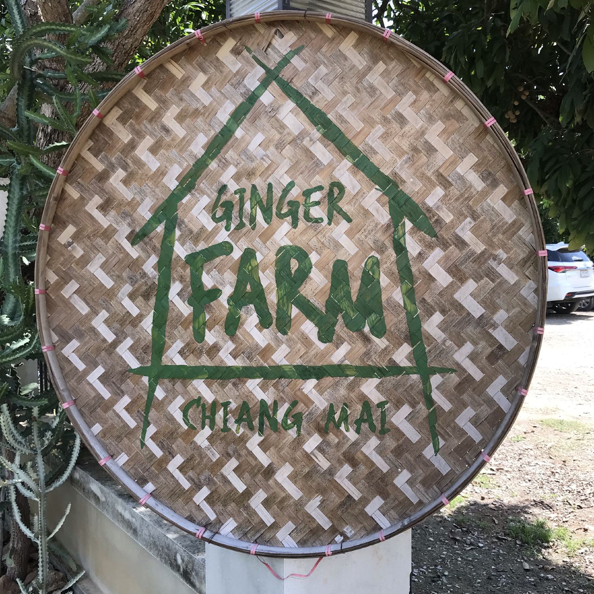 #thailand #chiangmai #gingerfarm great day out at the beautiful ginger farm in Chiangmai. Mud slides, rice fields and a fantastic restaurant. Great fun and food for the whole family.
