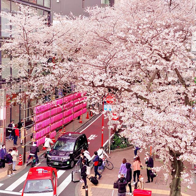渋谷駅近くの桜坂