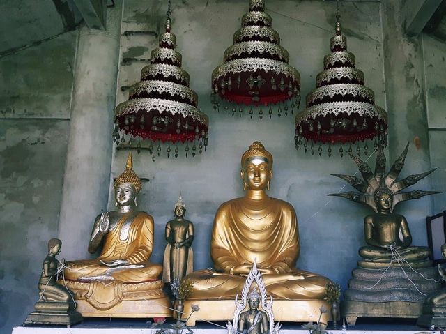 Wat Tham Pla in Chiang Rai, Thailand