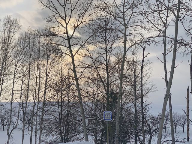 札幌市(삿포로) 비에이 투어