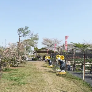 大安草莓家園