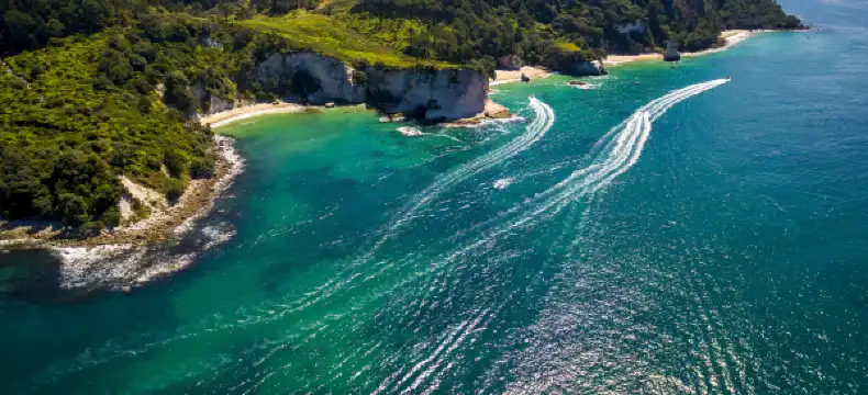 Hotels in Coromandel