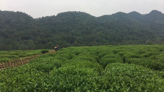 Tianfozhishan Reserve