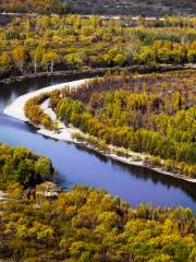 Национальный водно-болотный парк Гэнхэюань