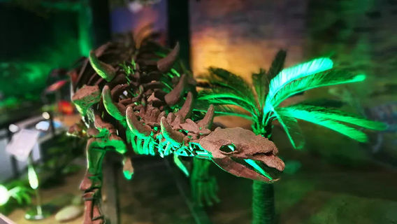 Wangwu Mountain Global Geopark