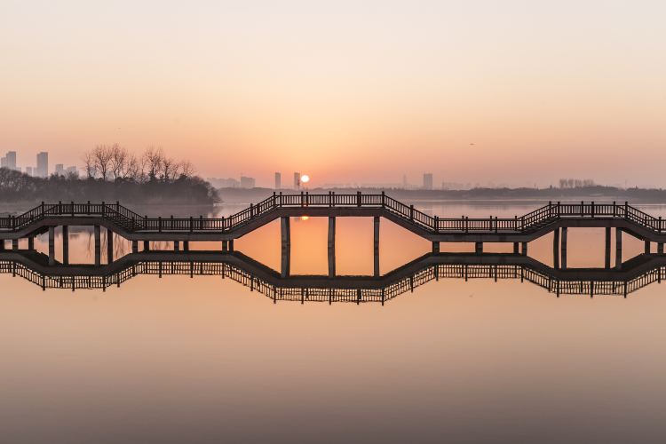 洛浦公园景点图片