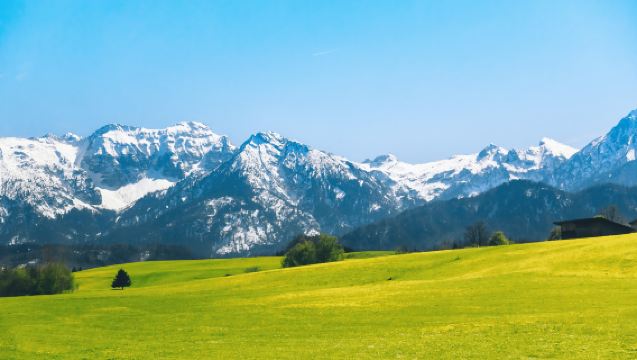 Ladang Nanshan + Panggung Bunga Kekwa + Ulastai [Kumpulan Kecil Maksimum 6 Orang + Pilihan Sewaan Peribadi + Pengangkutan Pintu ke Pintu]
