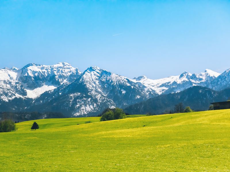 南山牧場