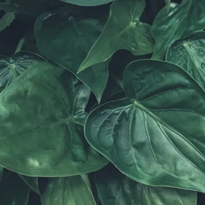 2-звездочные отели в г. Наго