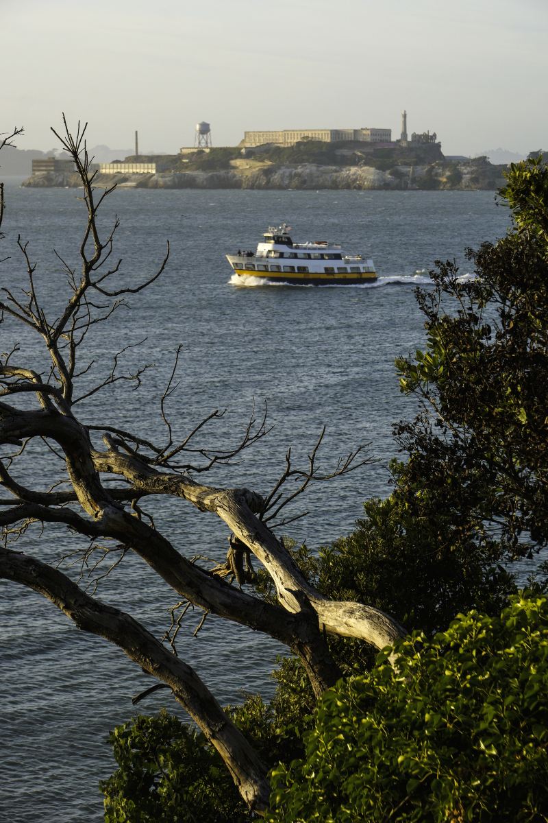 Alcatraz Island