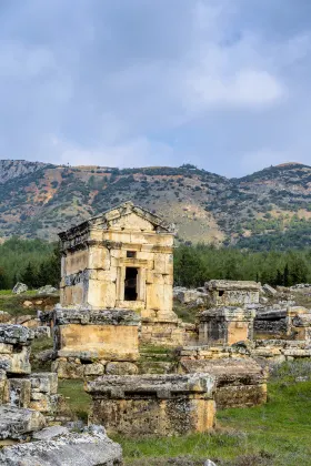 Разрешено размещения с домашними животными Отели в г. Памуккале