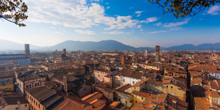 Lucca Wall
