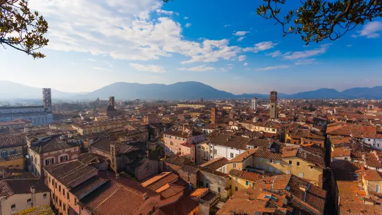 Le mura di Lucca