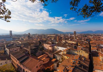 Le mura di Lucca