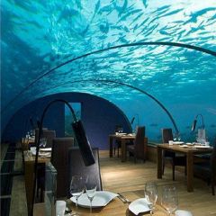 ITHAA UNDERSEA RESTAURANT ảnh của người dùng
