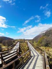 Tierra del Fuego National Park