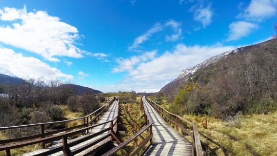 1-day tour to Parque Nacional Tierra del Fuego in Ushuaia, Argentina [24-hour Chinese concierge service]