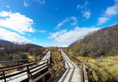 Parque Nacional Tierra del Fuego