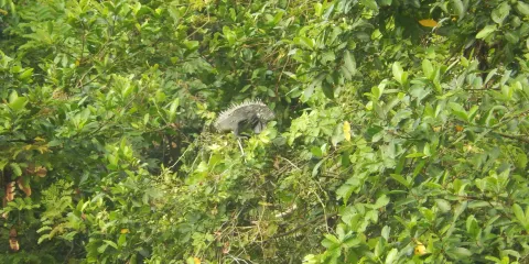 萊西湖生態休閑區