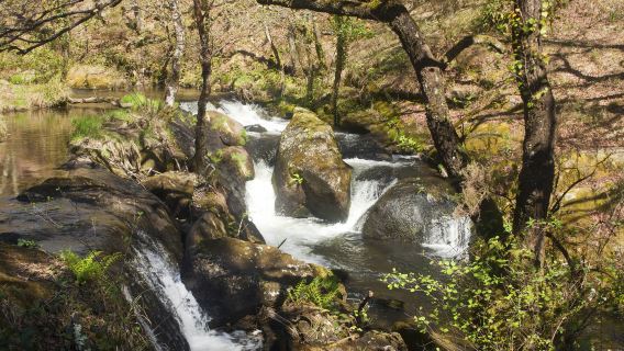 Private guided 1-day tour from Nanning Detian Transnational Waterfall Scenic Area Mingshi Pastoral
