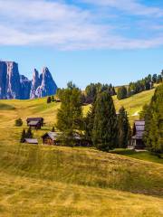 Gruppo Dolomitico Sciliar-Catinaccio, Latemar - UNESCO