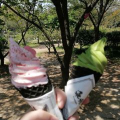 無邪張用戶圖片