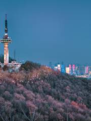 Changsha TV Tower