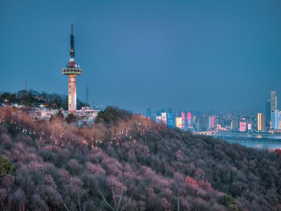 Changsha TV Tower