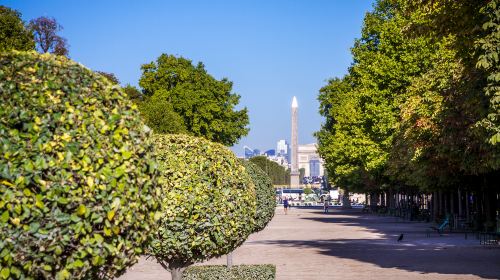 Tuileries Garden